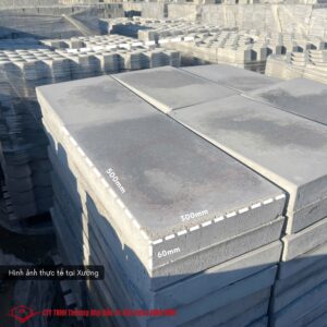 TẤM ĐAN BÊ TÔNG